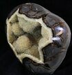 Calcite Crystal Filled Septarian Geode - Utah #33126-2